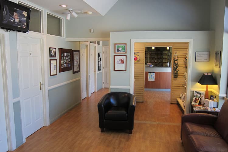 Pet boarding service Rosemont Veterinary Hospital Glendale