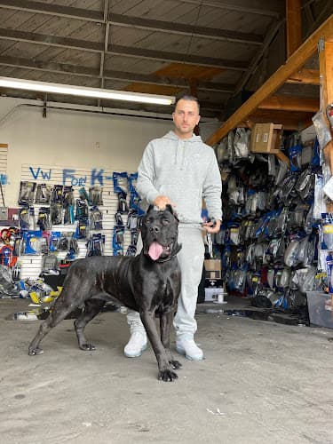 Pet boarding service Rumsen power kennels Fontana