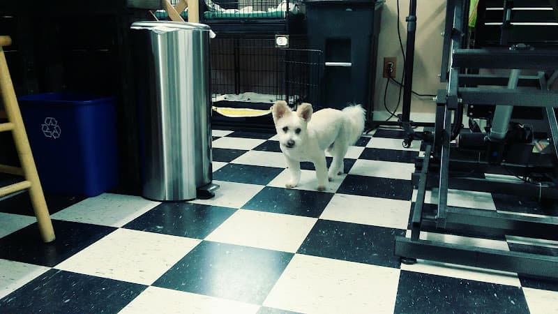 Pet boarding service Sacha's Pet Clipette Salem