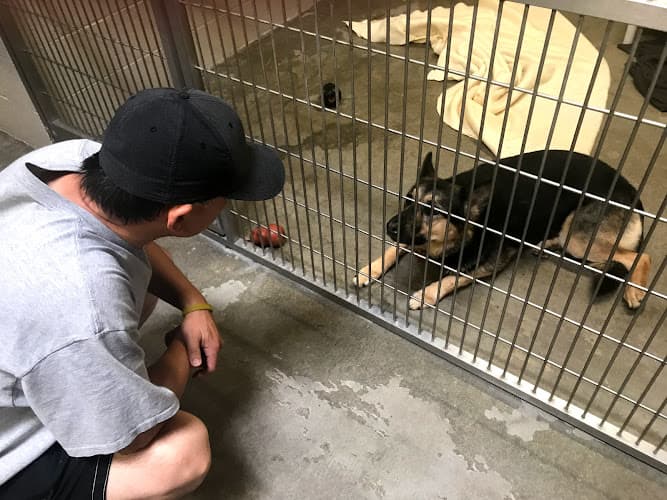 Pet boarding service Sacramento SPCA Sacramento