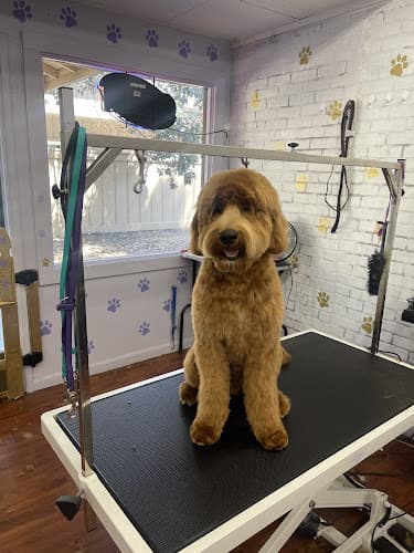 Pet boarding service Sadie's Pet Spa Santa Rosa