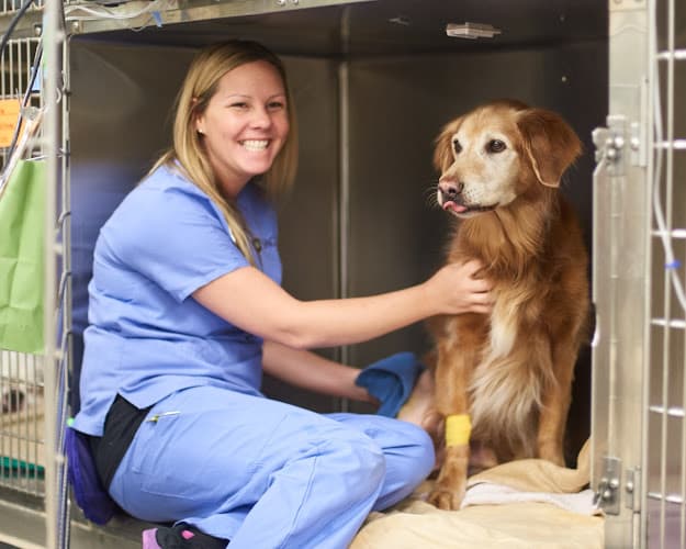 Pet boarding service SAGE Veterinary Centers Concord