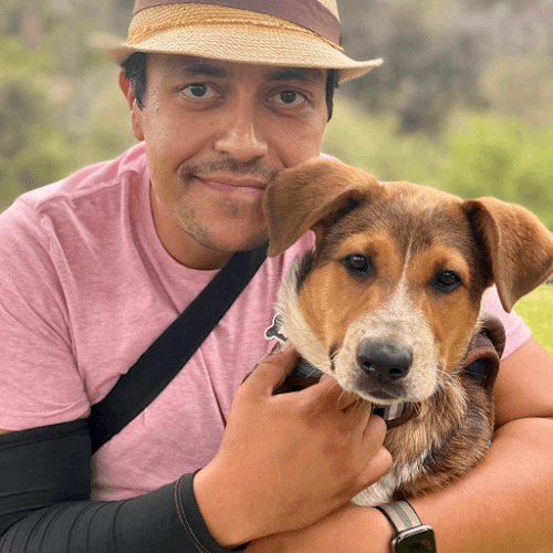 Pet boarding service San Diego PupPals San Diego