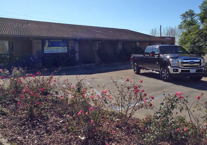Pet boarding service Santa Clara Valley Veterinary Ventura