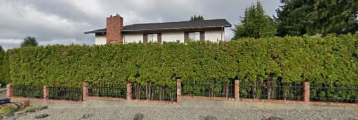 Pet boarding service Savvy Dog Boutique Tacoma