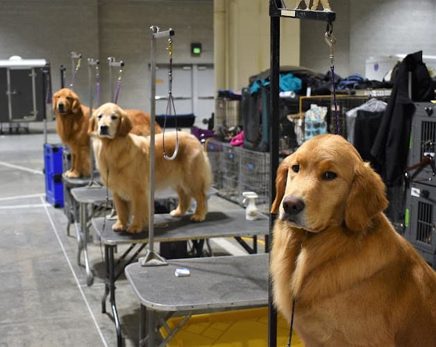 Pet boarding service Seattle Dog Boarding Seattle