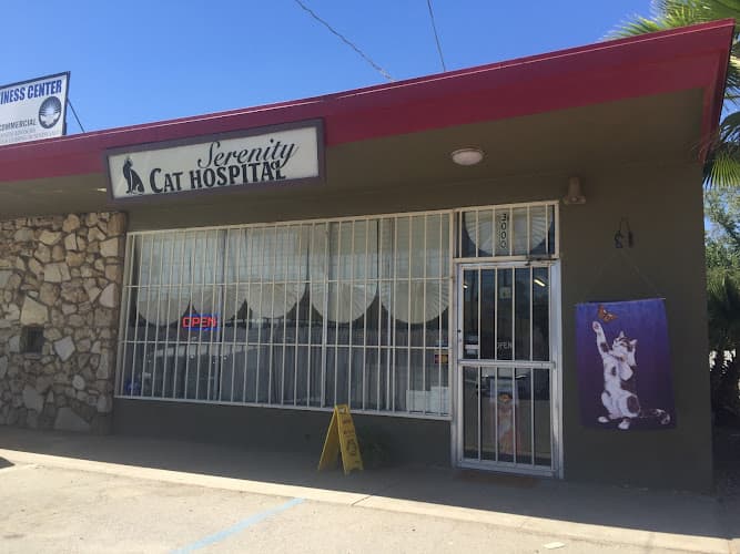 Pet boarding service Serenity Cat Hospital Bakersfield