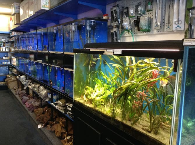 Pet boarding service Seven Seas Aquarium Clovis