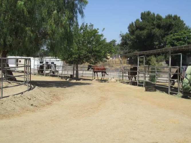 Pet boarding service Shadow Glen Ranch Corona