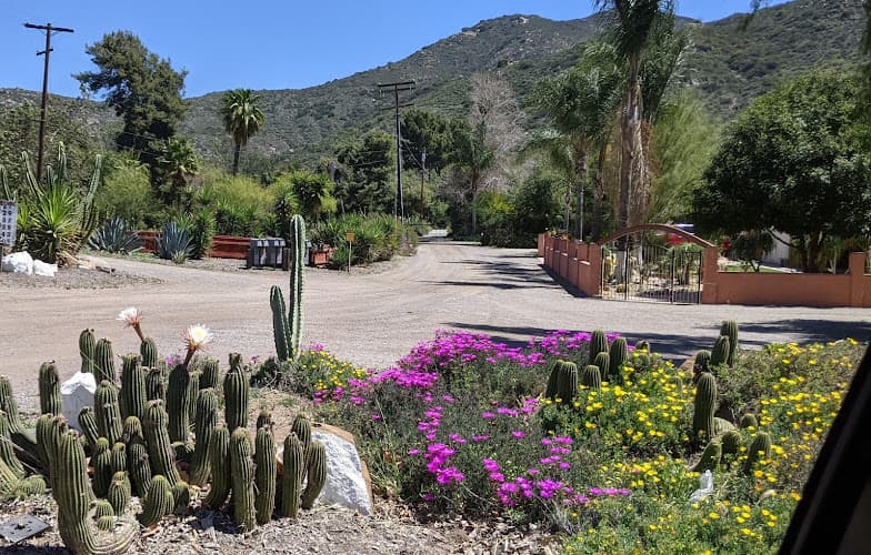 Pet boarding service Singing Hills Animal Hospital El Cajon