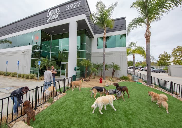 Pet boarding service Skout's Honor Oceanside