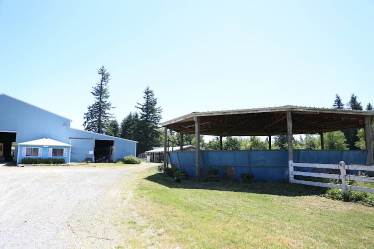 Pet boarding service Skyreach Equestrian Kent