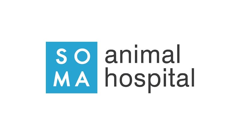 Pet boarding service SoMa Animal Hospital San Francisco