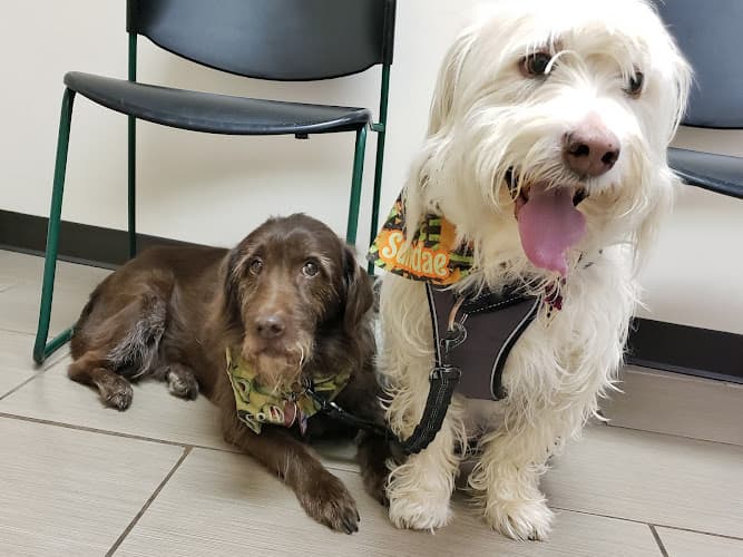 Pet boarding service South Grand Veterinary Clinic Spokane