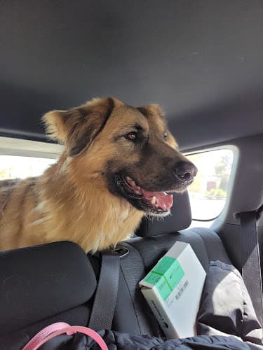 Pet boarding service South LA Animal Shelter Los Angeles