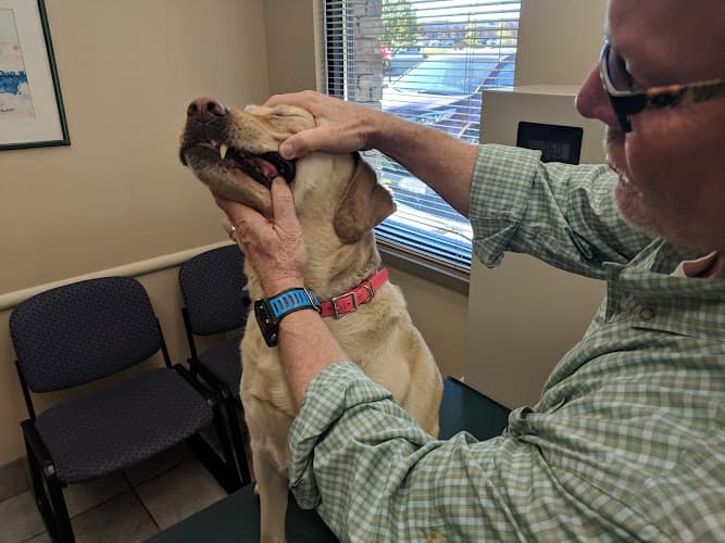 Pet boarding service SouthCare Animal Medical Center Spokane