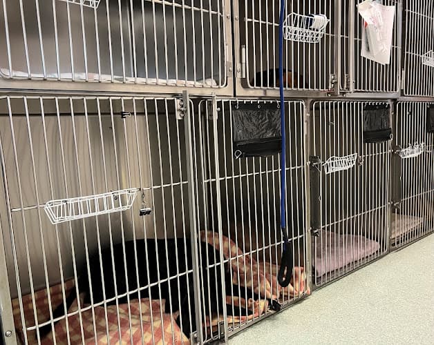 Pet boarding service Spay & Neuter Clinic Eugene