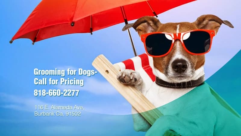 Pet boarding service Splash Doggie Burbank