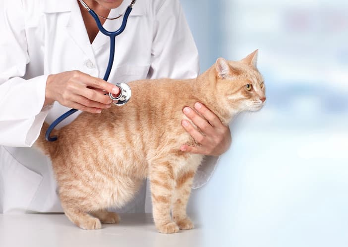 Pet boarding service Spokane Veterinary Clinic Spokane Valley