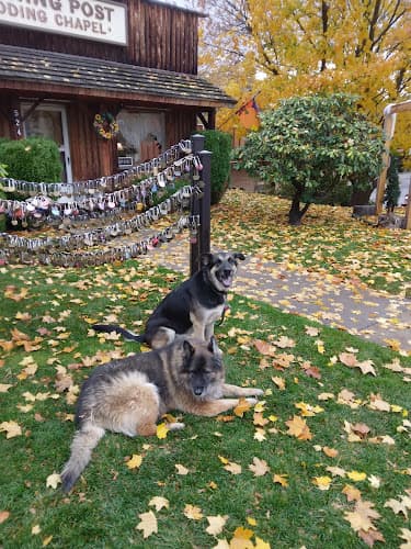 Pet boarding service SpokAnimal's Dorothy Clark Animal Center Spokane