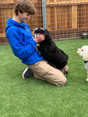 Pet boarding service Springdale Pet Ranch Glendale