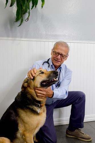 Pet boarding service Story Road Animal Hospital San Jose