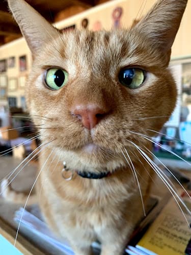 Pet boarding service Su-Ets Kennels El Cajon