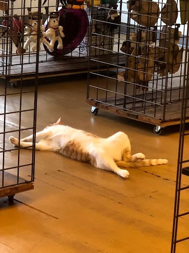 Pet boarding service Sugar City Pet Supply Vallejo