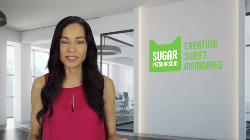 Pet boarding service Sugar Pet Shop Anaheim