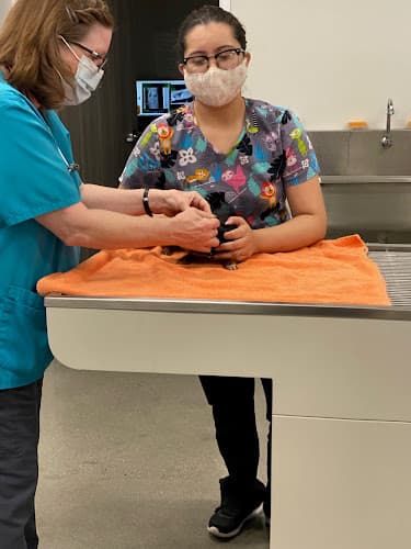 Pet boarding service Sunnyside Pet Hospital Fresno