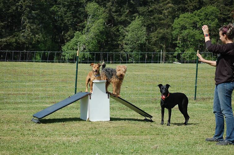 Pet boarding service Sunset Kennel & Grooming Bellingham