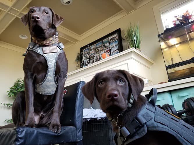 Pet boarding service Sunshine Pet Clinic Beaverton