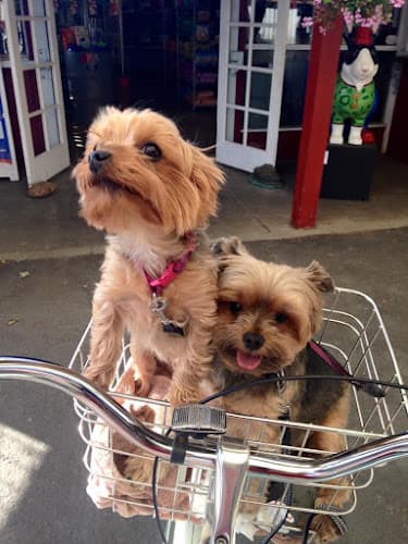 Pet boarding service Sweet Pea's Boutique Vacaville