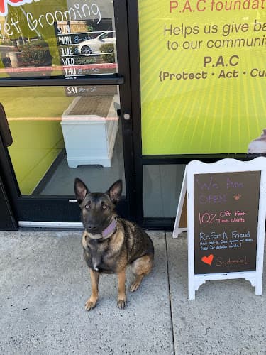 Pet boarding service Sydnee's pet grooming Escondido