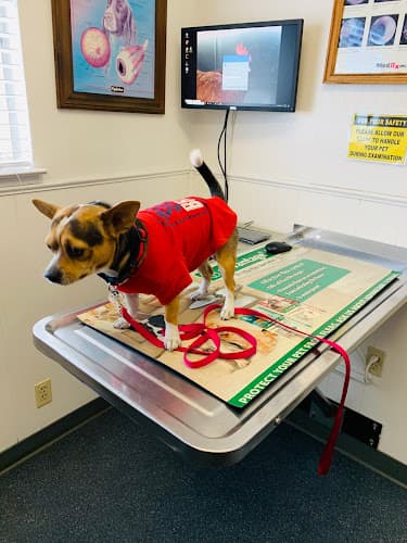 Pet boarding service Tail Wag Inn Veterinary Hospital and Boarding Kennel Antioch