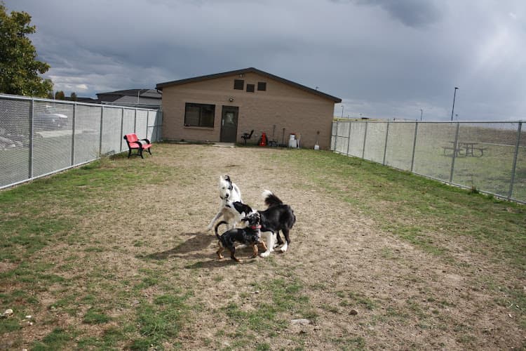 Pet boarding service Tanker Tails Dog & Cat Kennel Spokane