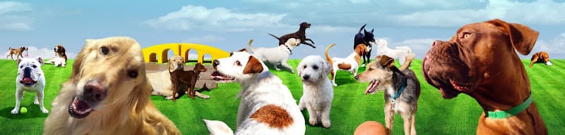 Pet boarding service The Animal Keeper Oceanside