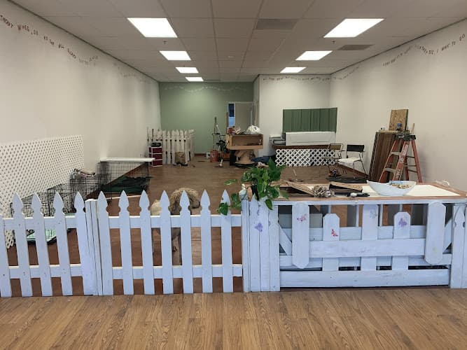 Pet boarding service The barking lot dog spa Fresno