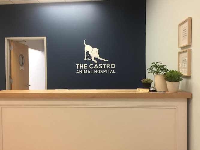 Pet boarding service The Castro Animal Hospital San Francisco