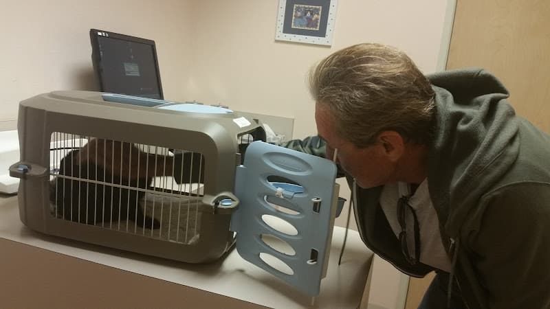 Pet boarding service The Cat Doctor Thousand Oaks