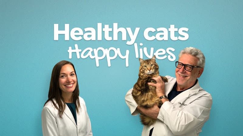 Pet boarding service T.H.E. Cat Hospital Irvine