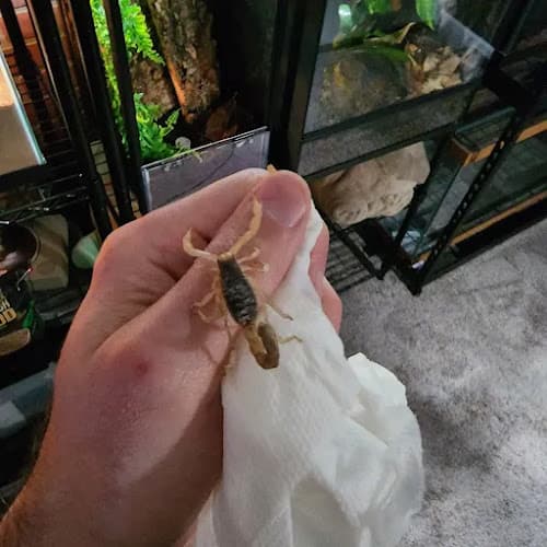 Pet boarding service The Creep Inn Family Tacoma