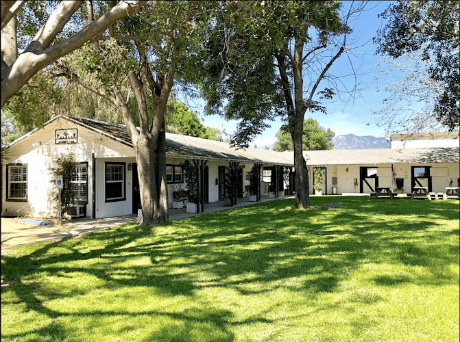 Pet boarding service The Paddock Riding Club Glendale