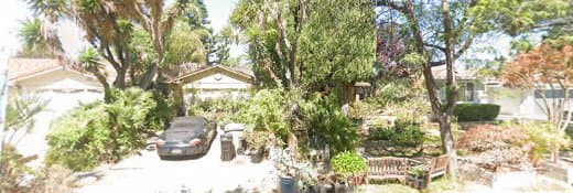 Pet boarding service The Pampered Pooch San Jose