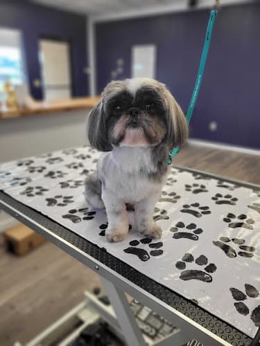 Pet boarding service The Paw Spa & Salon Redding