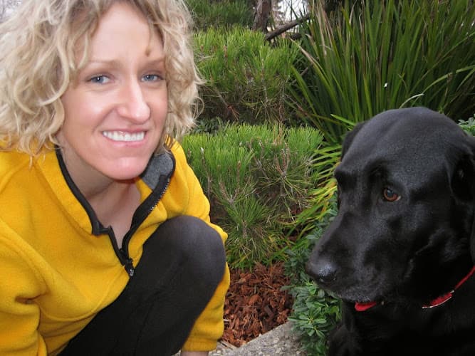 Pet boarding service The Pet Agency Sacramento