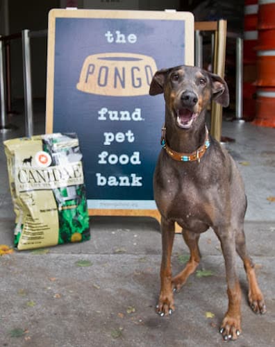 Pet boarding service The Pongo Fund Pet Food Bank Portland