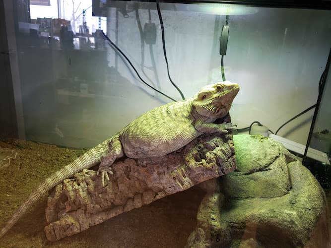 Pet boarding service The Serpentarium Roseville