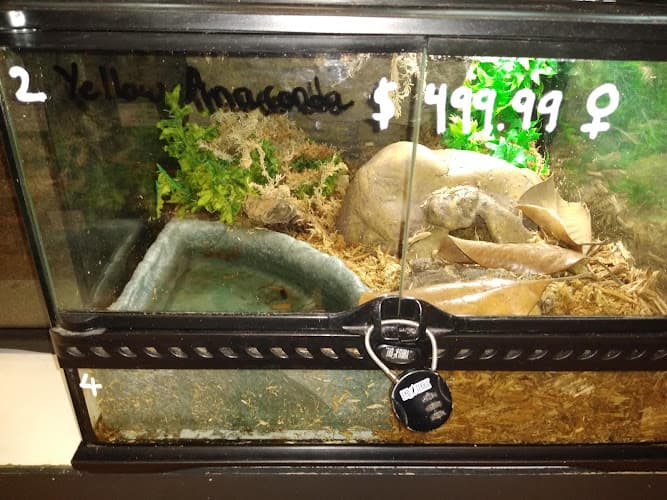 Pet boarding service The Serpentarium Stockton