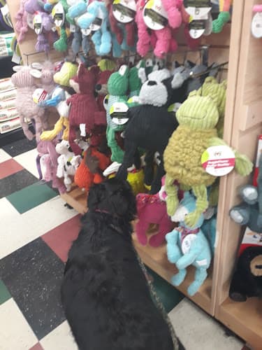 Pet boarding service The Urban Canine - North Spokane